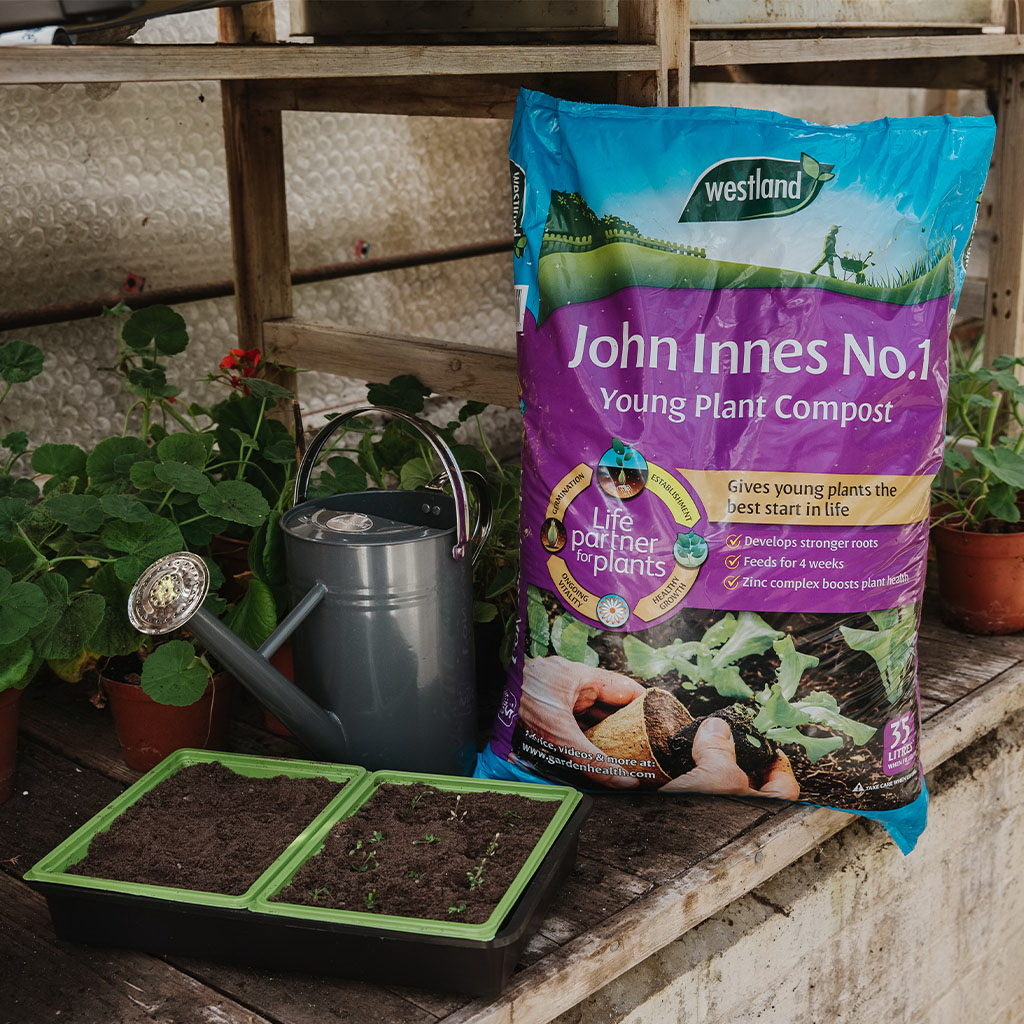 Westland John Innes No1 Compost 35L - Newgate Nurseries