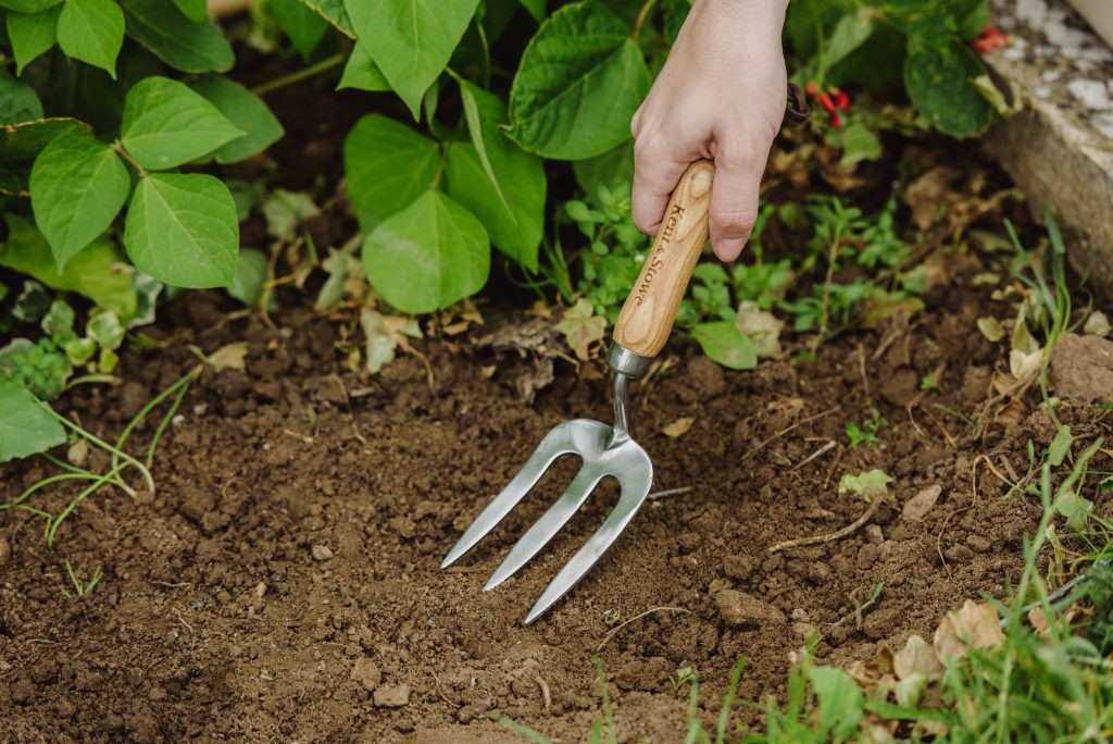 Kent & Stowe Garden Life Hand Fork - Newgate Nurseries