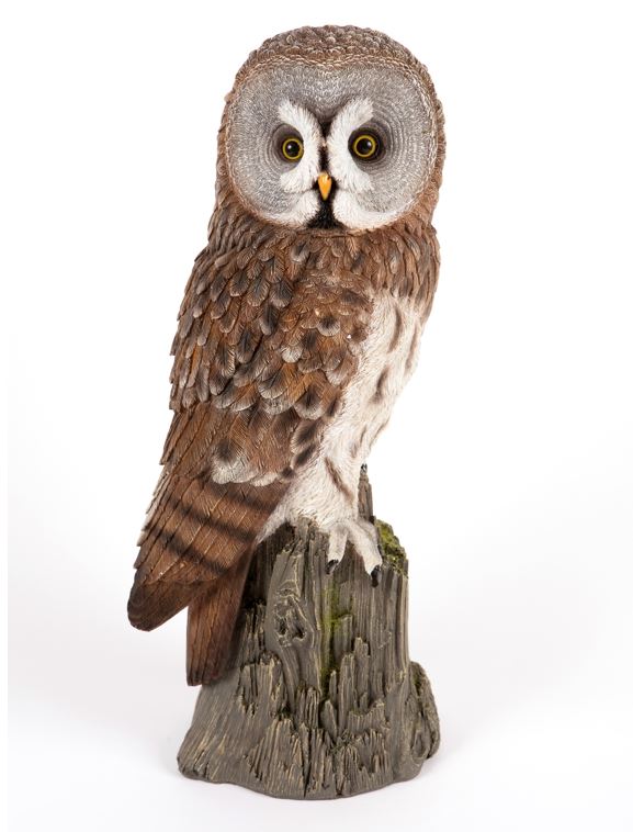 Perched Owl - Newgate Nurseries